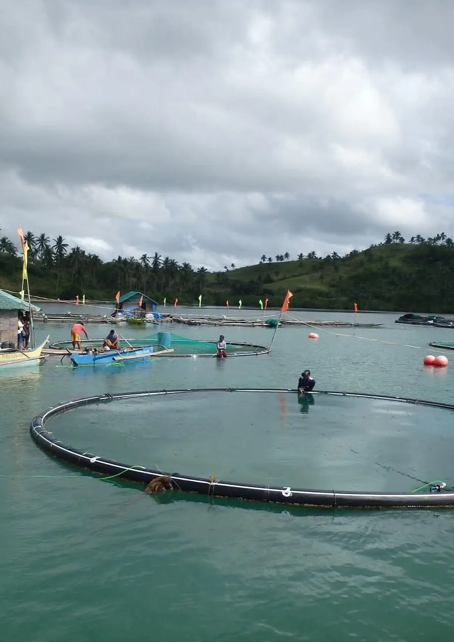 Offshore aquaculture cages with workers and boat